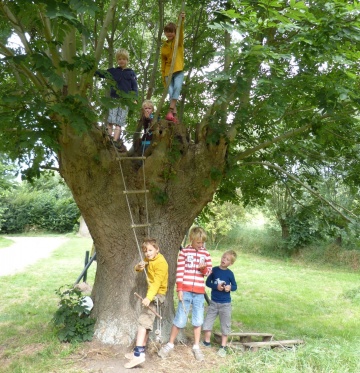 Camping Perkpolder — photo 5
